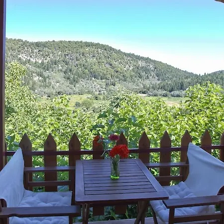 House Holiday home *